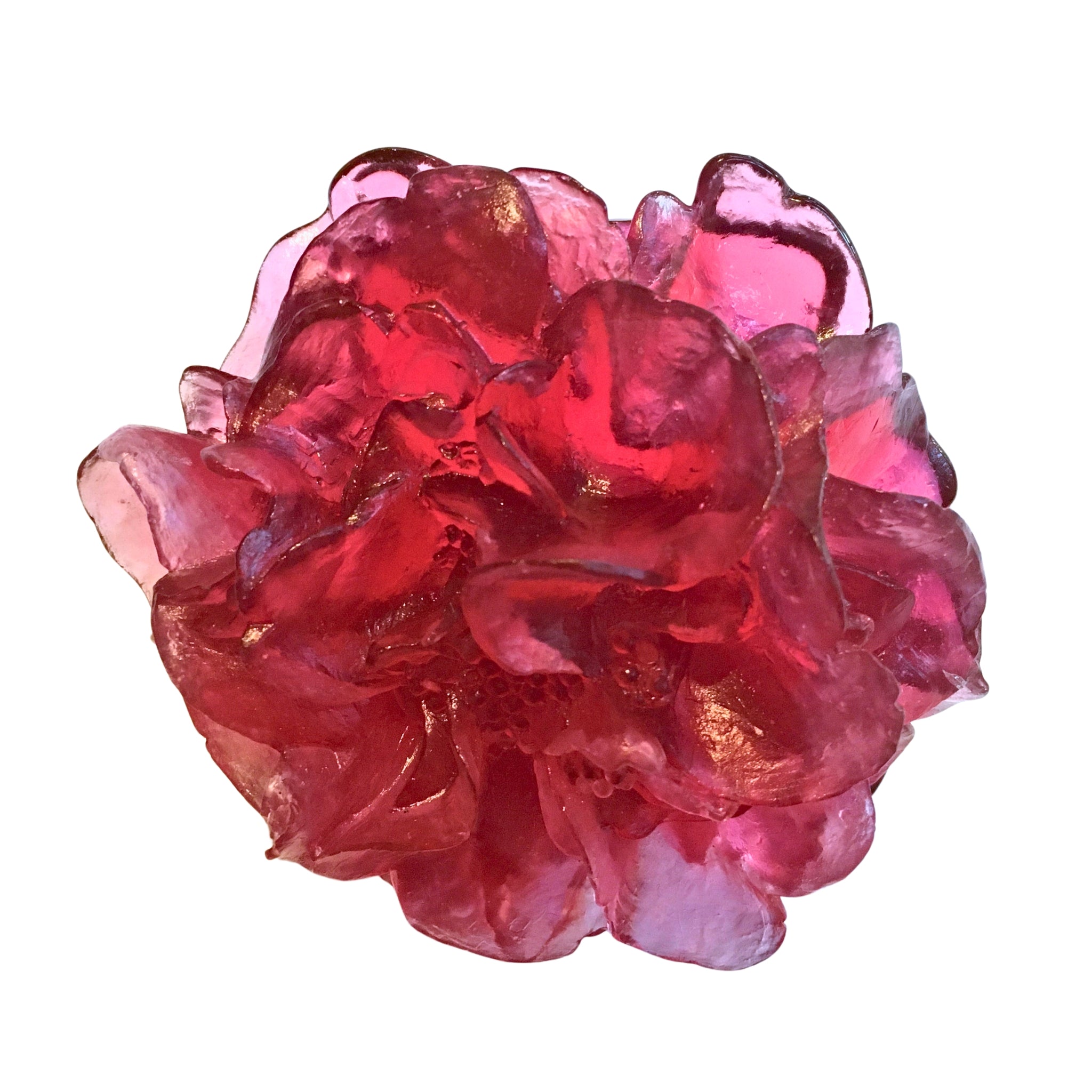 Luke Jacomb Studio - Camellia