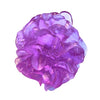 Luke Jacomb Studio - Camellia