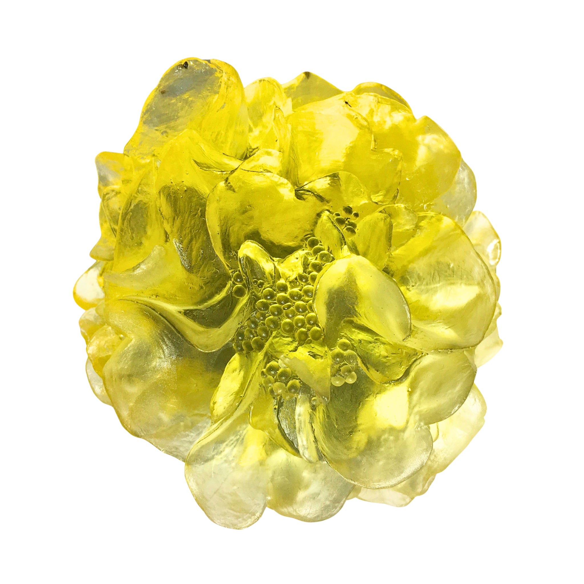 Luke Jacomb - Camellia