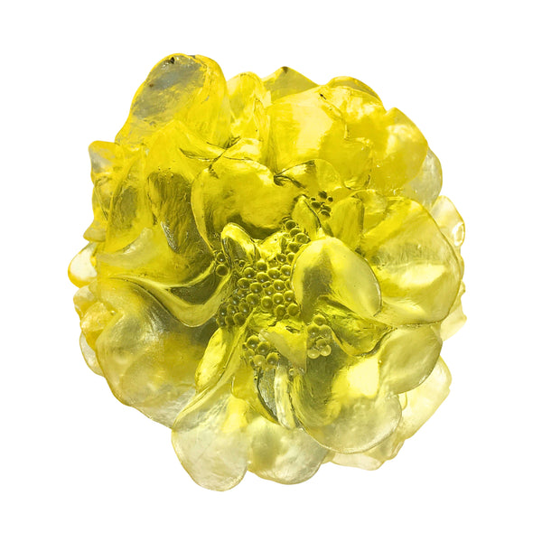 Luke Jacomb - Camellia