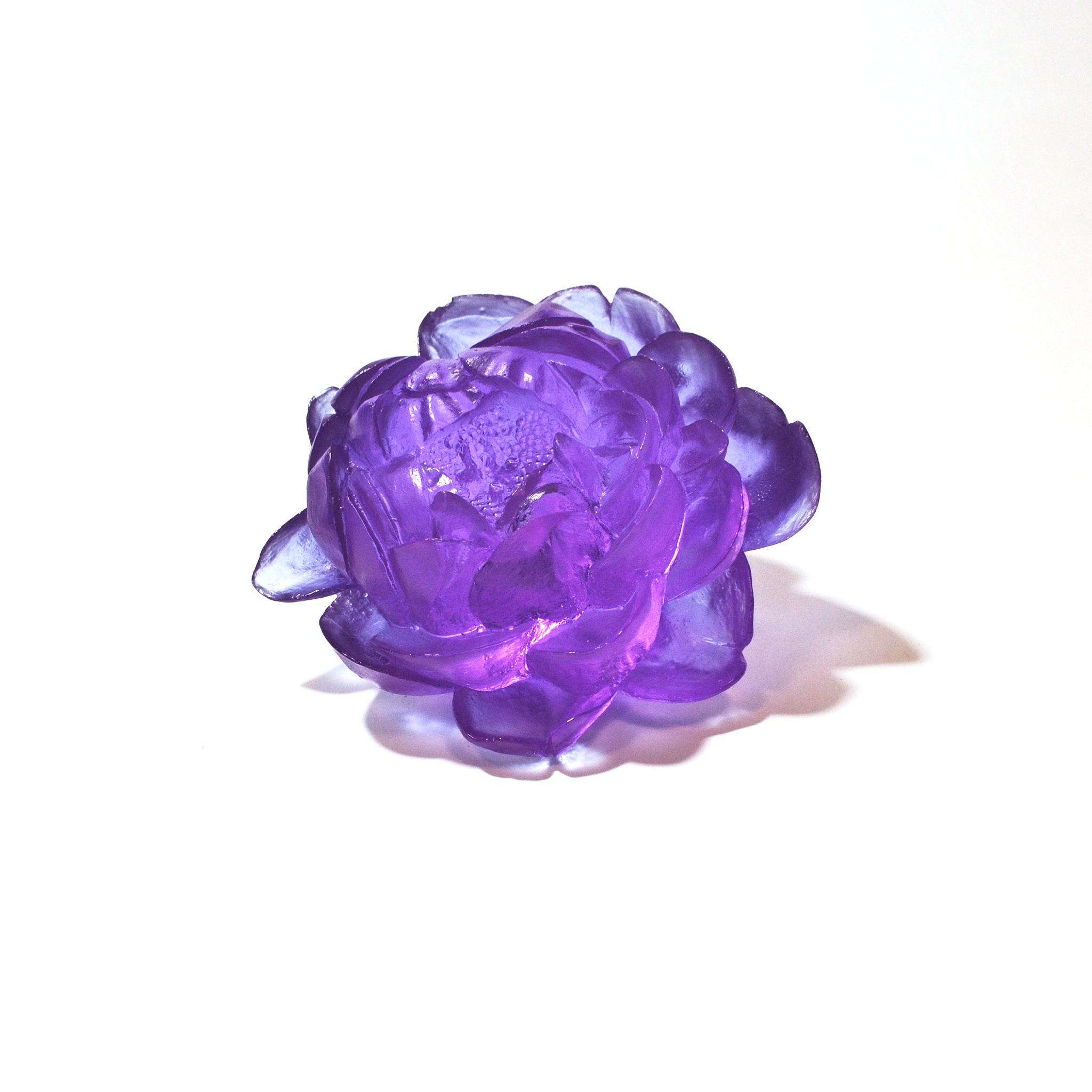 Camellia | Luke Jacomb Studio - Lukeke