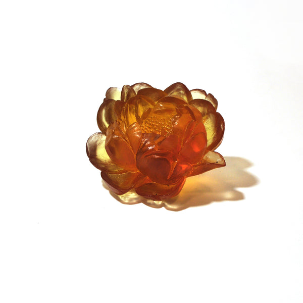 Camellia | Luke Jacomb Studio - Lukeke