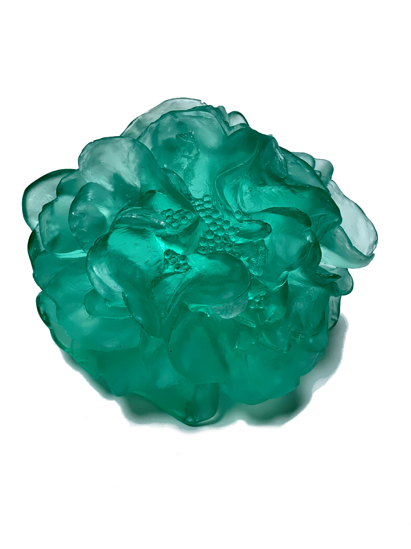 Camellia | Luke Jacomb Studio - Lukeke