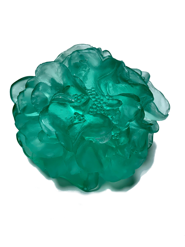 Camellia | Luke Jacomb Studio - Lukeke