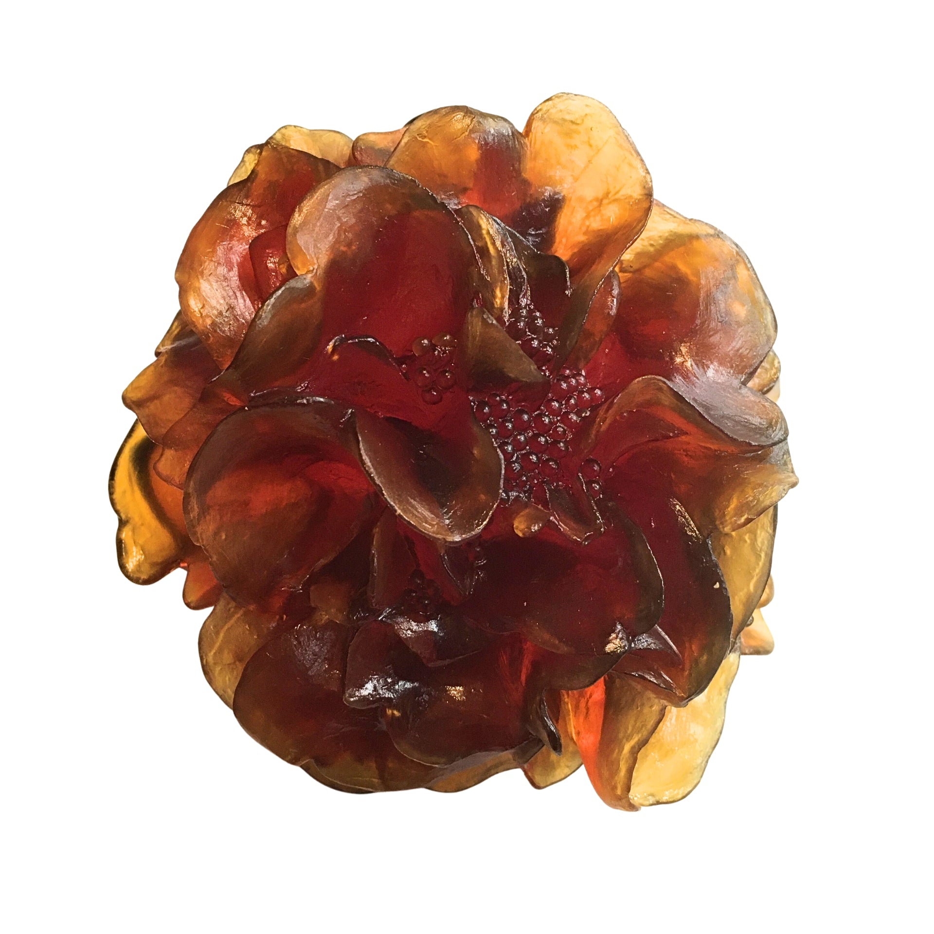 Camellia | Luke Jacomb Studio - Lukeke