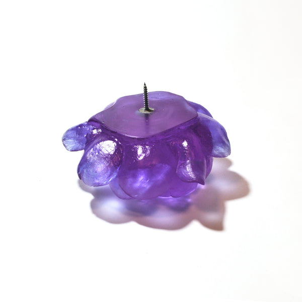 Camellia | Luke Jacomb Studio - Lukeke