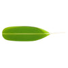 Huruhuru Feather | Kahu Design