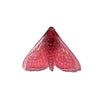 Pūriri Moth | Luke Jacomb Studio