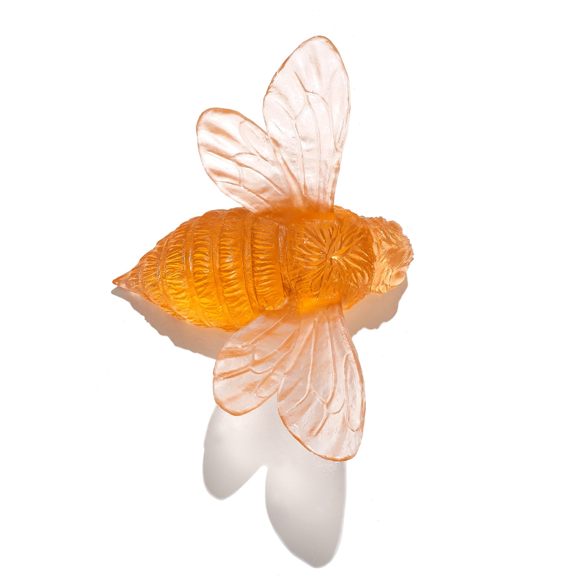 Bee | Luke Jacomb Studio