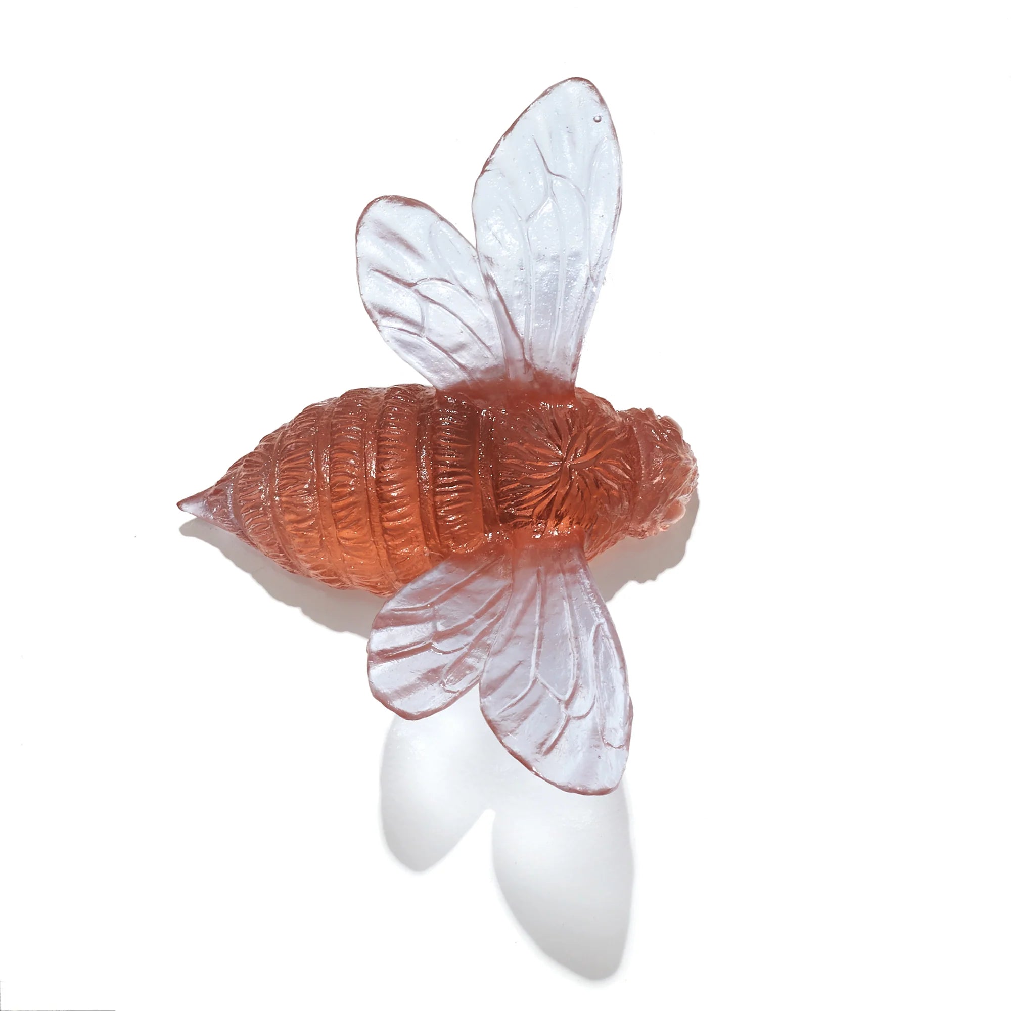 Bee | Luke Jacomb Studio