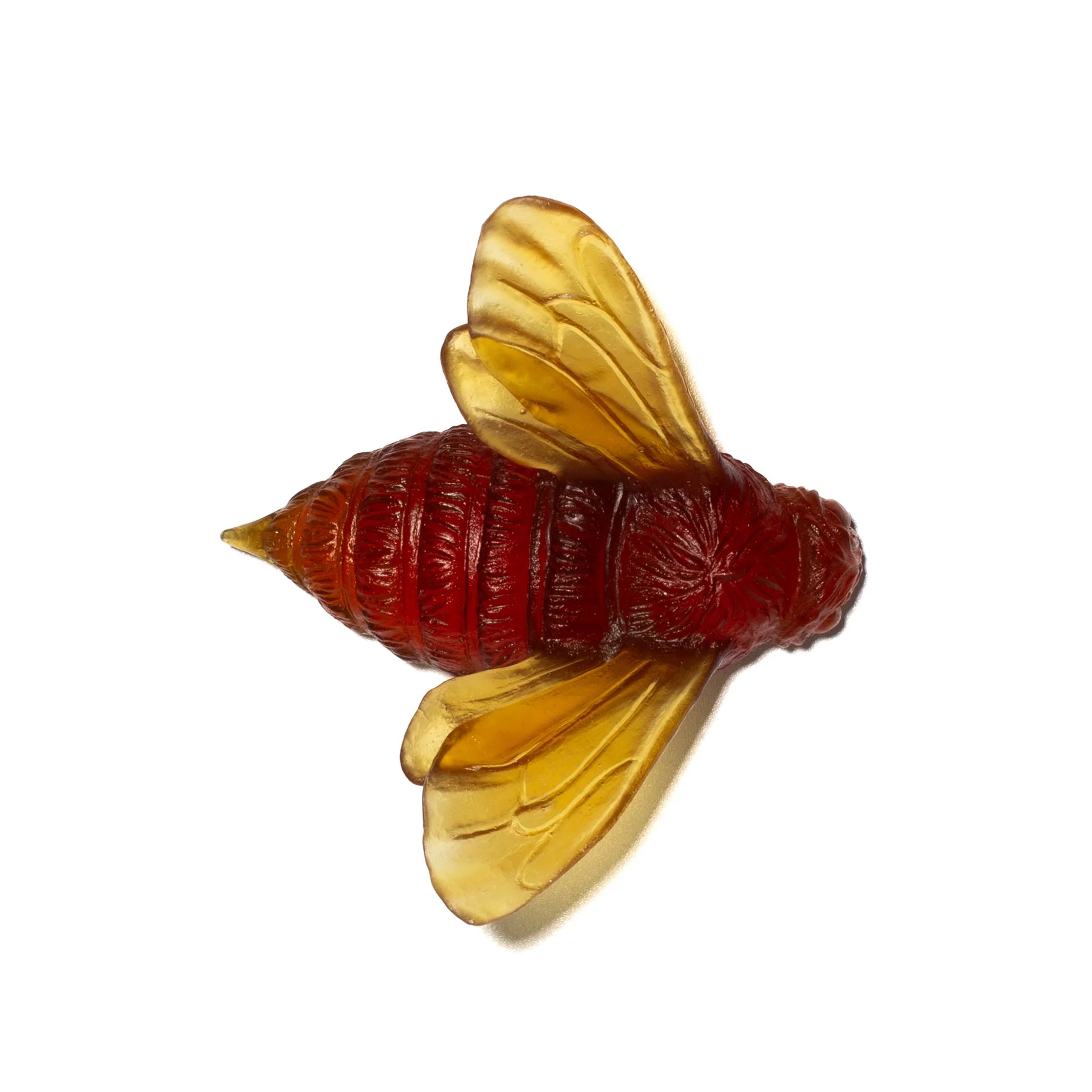 Bee | Luke Jacomb Studio