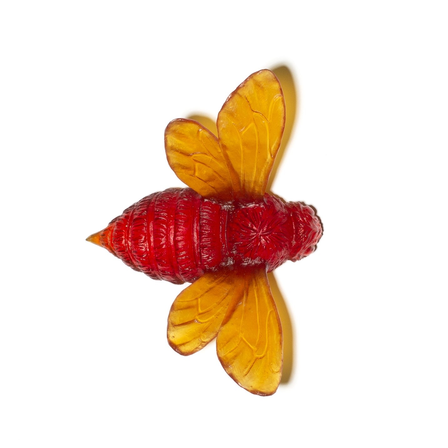 Bee | Luke Jacomb Studio