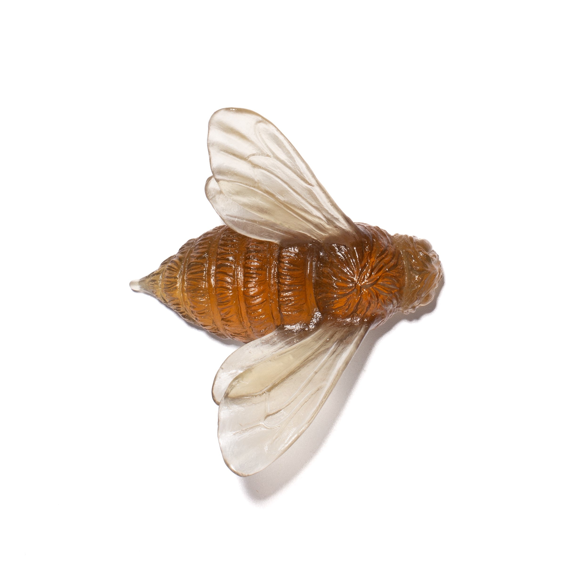 Bee | Luke Jacomb Studio