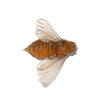 Bee | Luke Jacomb Studio