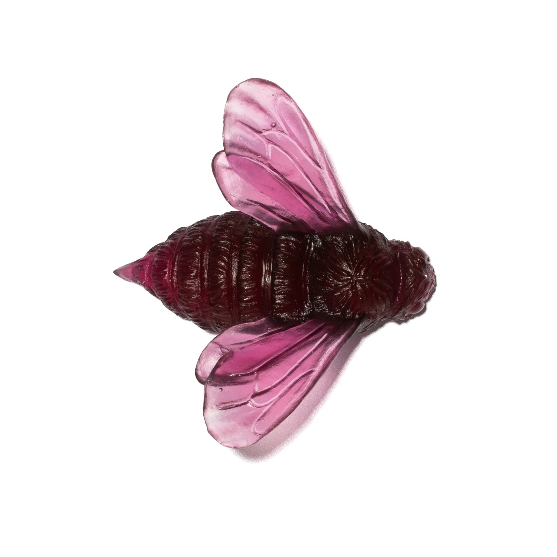 Bee | Luke Jacomb Studio