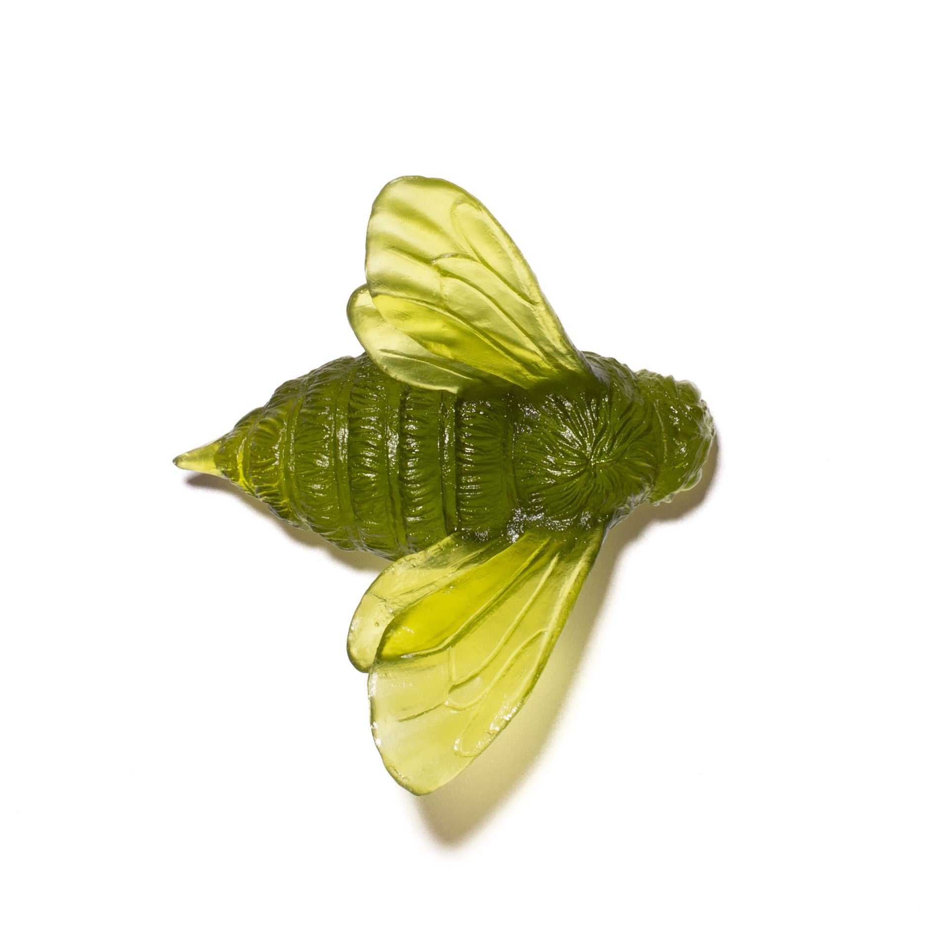 Bee | Luke Jacomb Studio