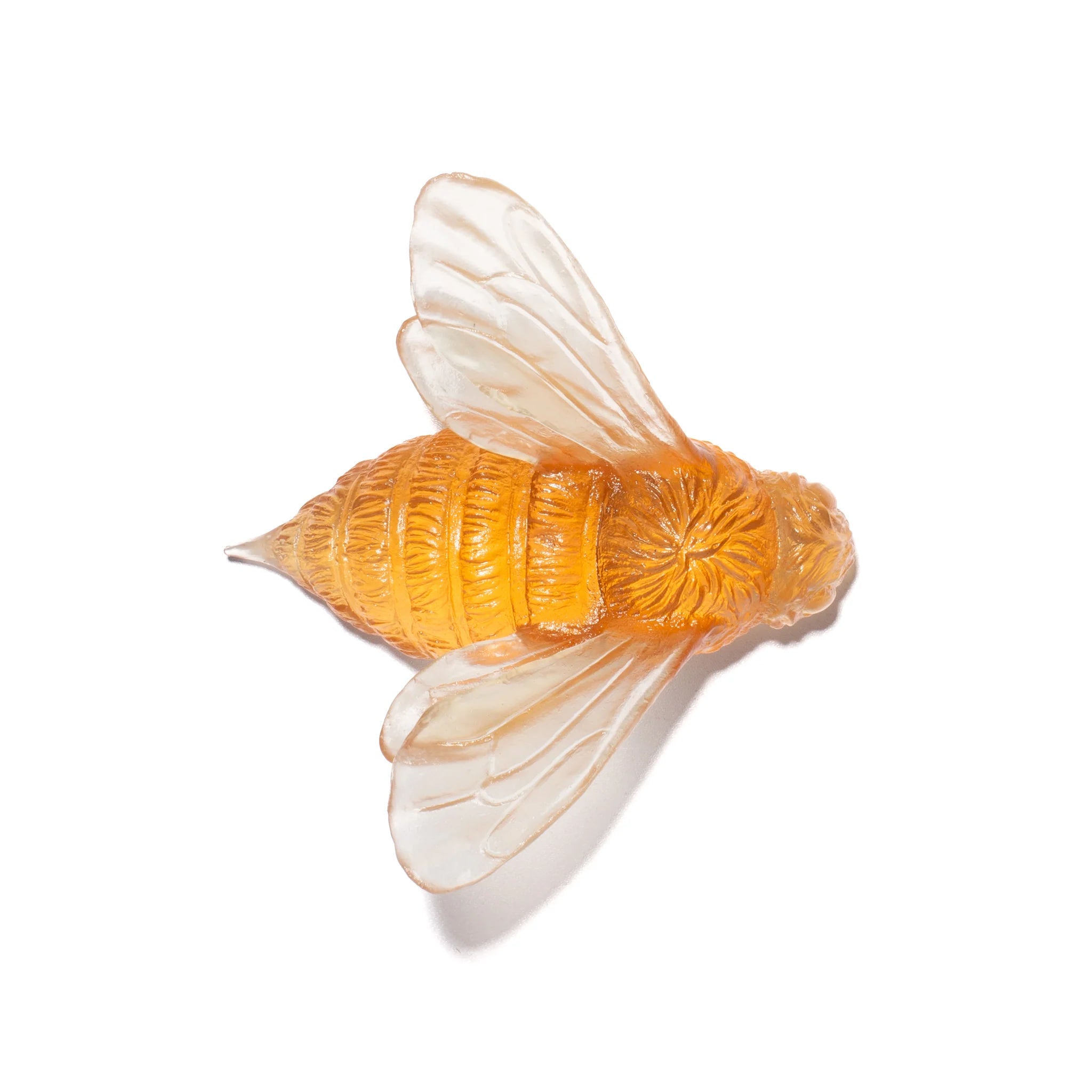 Bee | Luke Jacomb Studio