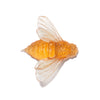 Bee | Luke Jacomb Studio