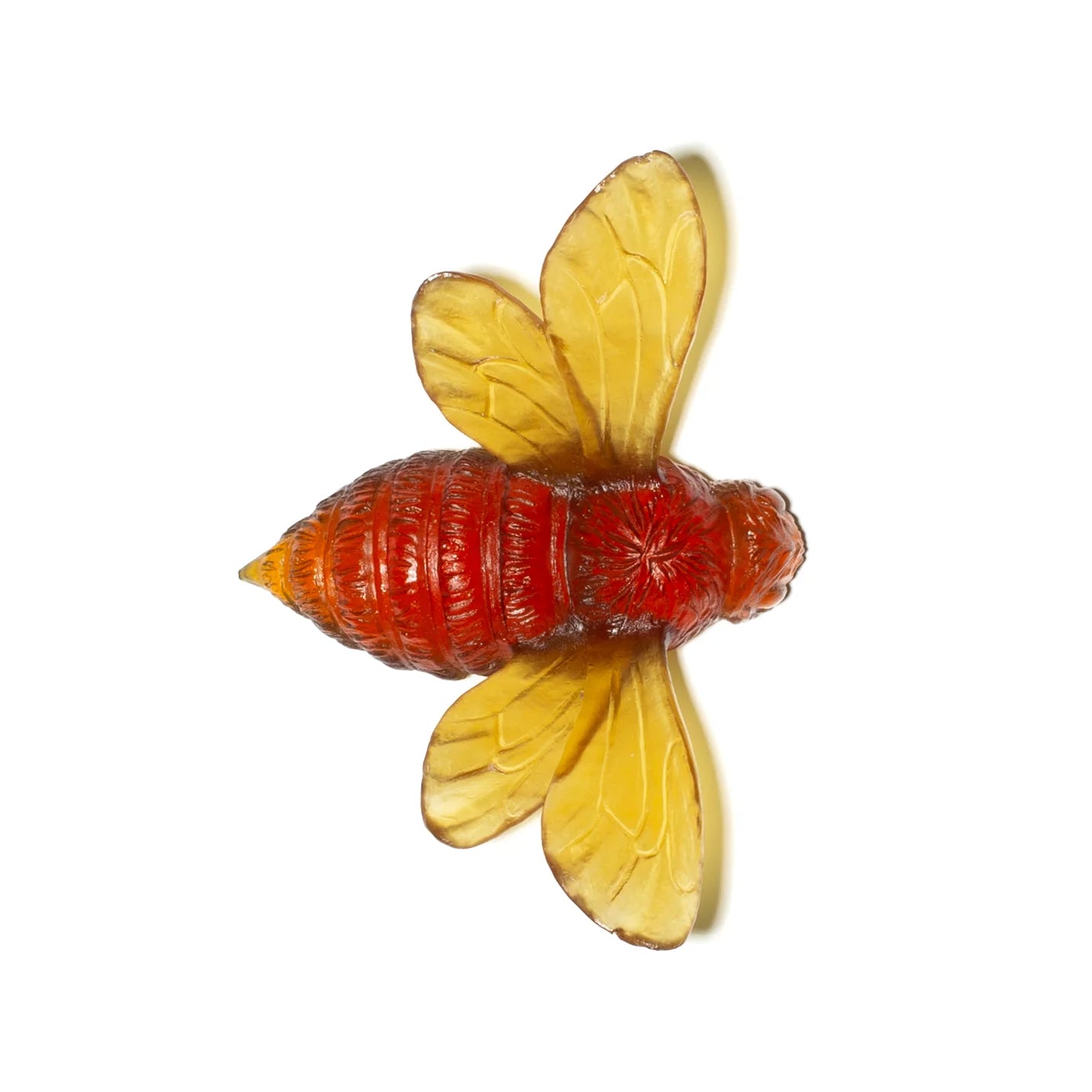 Bee | Luke Jacomb Studio