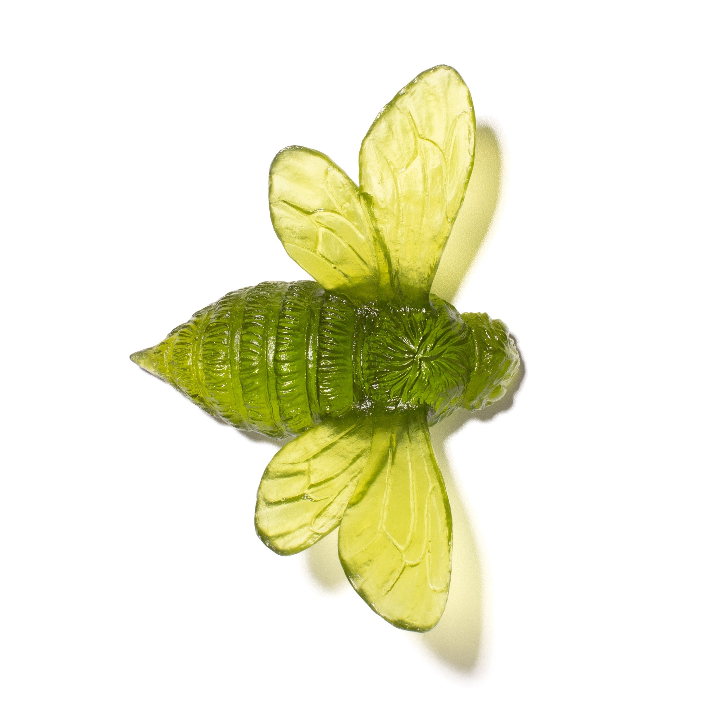 Bee | Luke Jacomb Studio