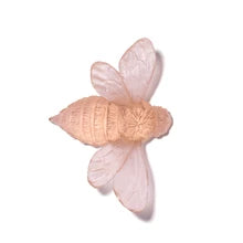 Bee | Luke Jacomb Studio