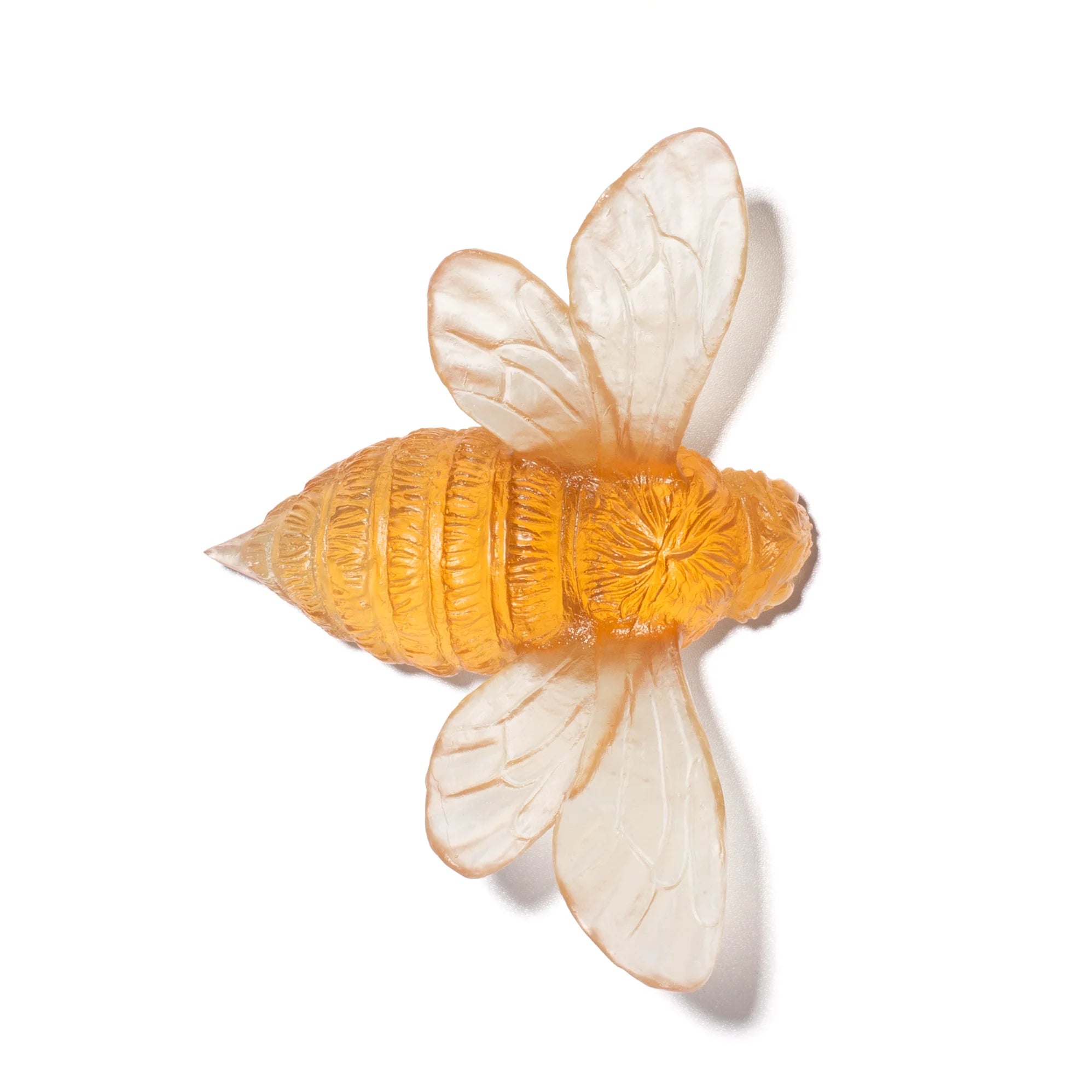 Bee | Luke Jacomb Studio