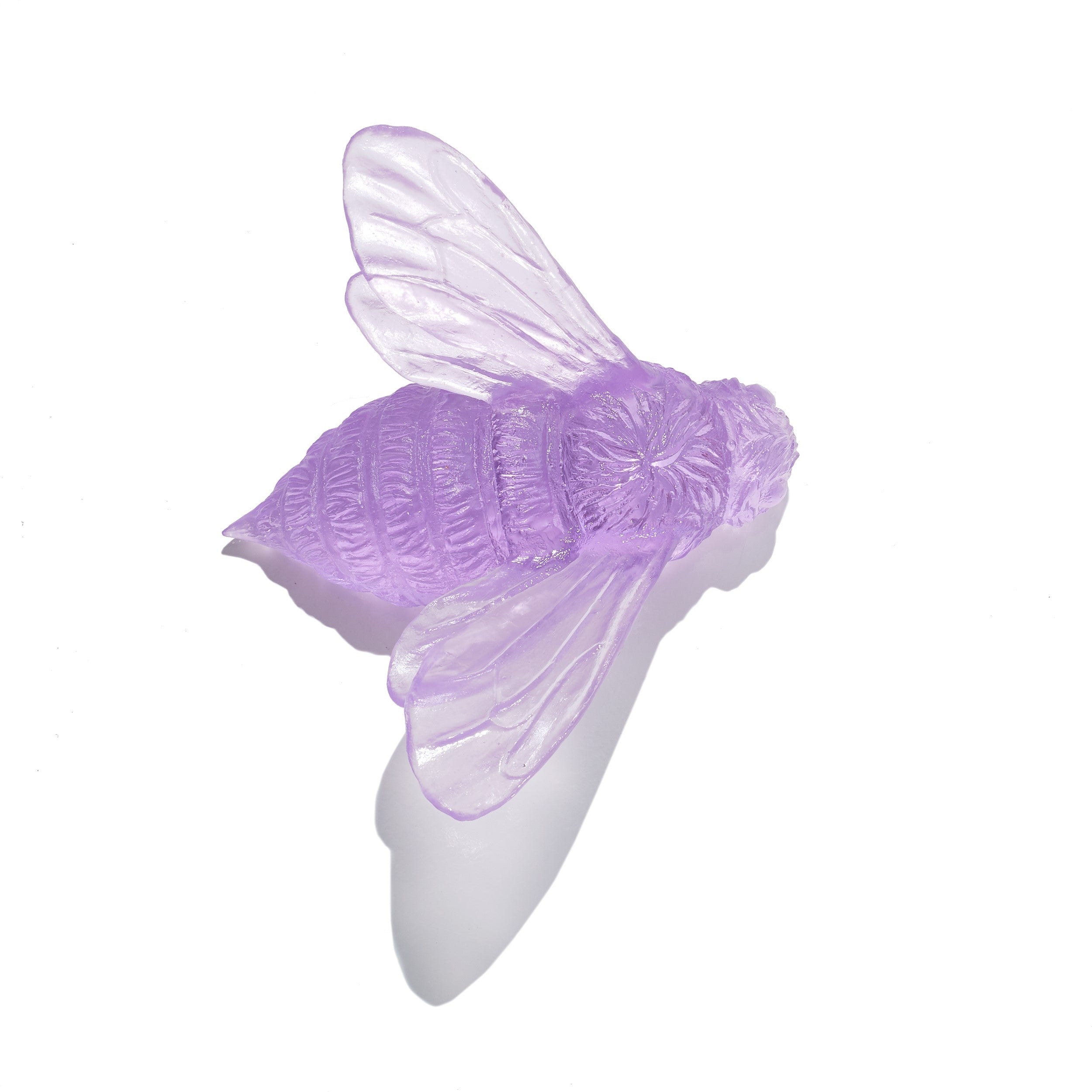 Bee | Luke Jacomb Studio