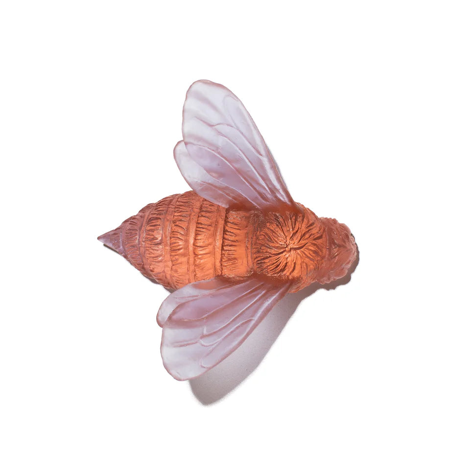Bee | Luke Jacomb Studio