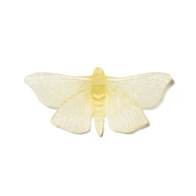 Pūriri Moth | Luke Jacomb Studio