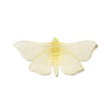 Pūriri Moth | Luke Jacomb Studio