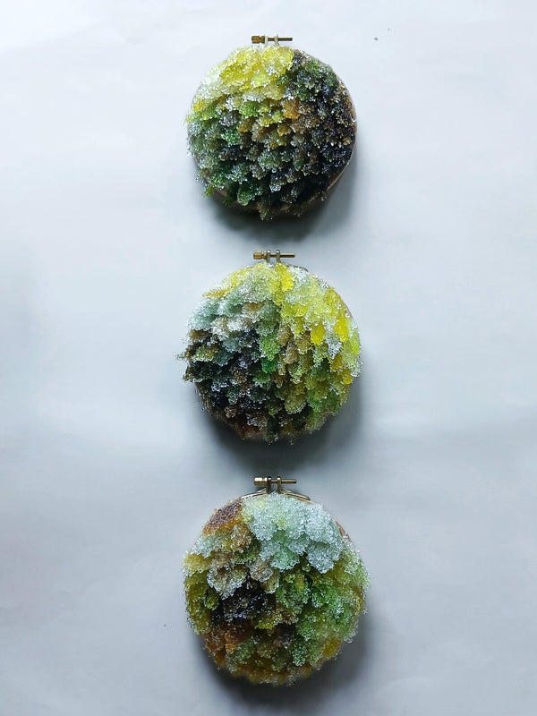 The Way Out is Through: Five Mile Loop,Ōrongorongo | Kelda Morris