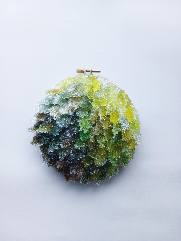 The Way Out is Through: Five Mile Loop,Ōrongorongo | Kelda Morris