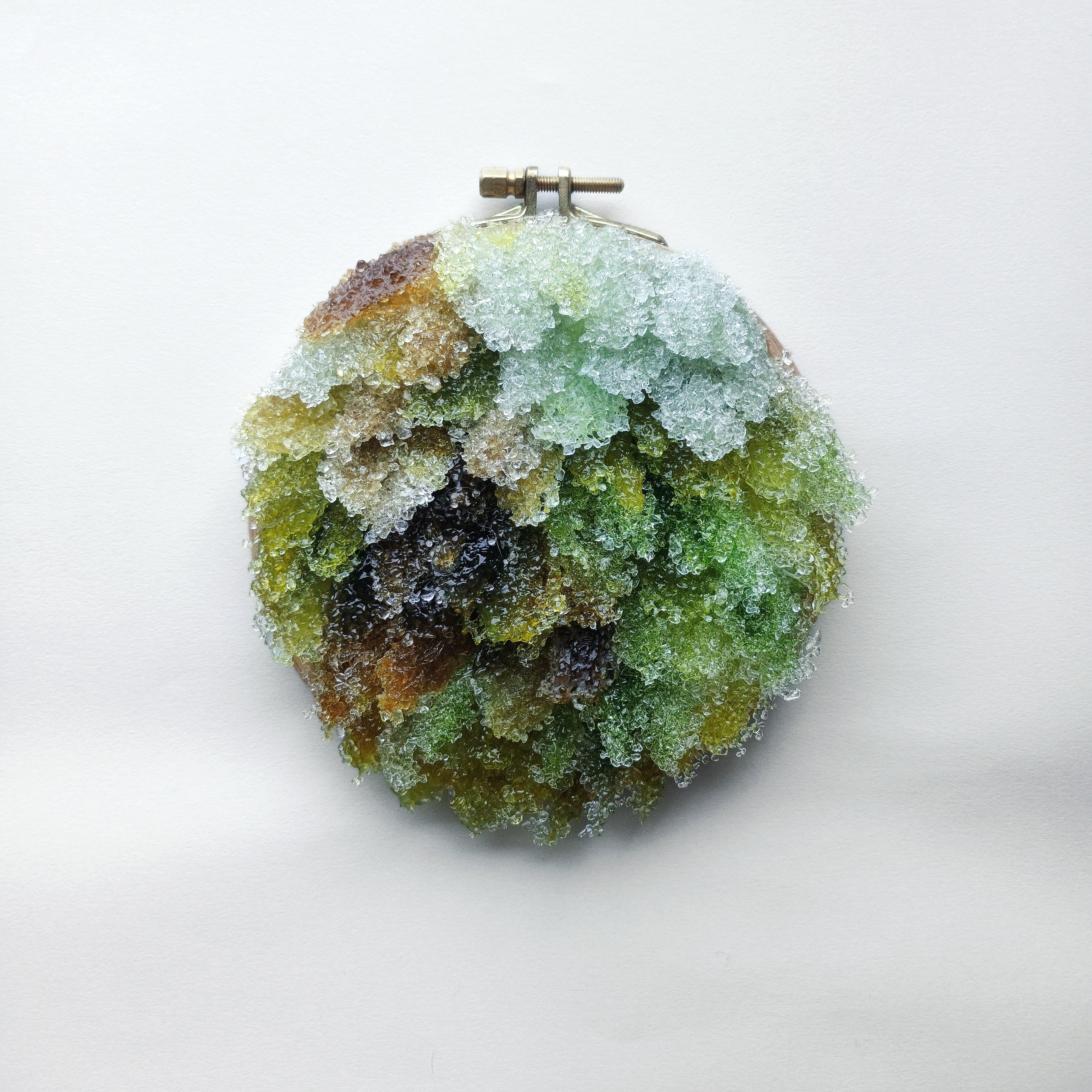 The Way Out is Through: Five Mile Loop,Ōrongorongo | Kelda Morris