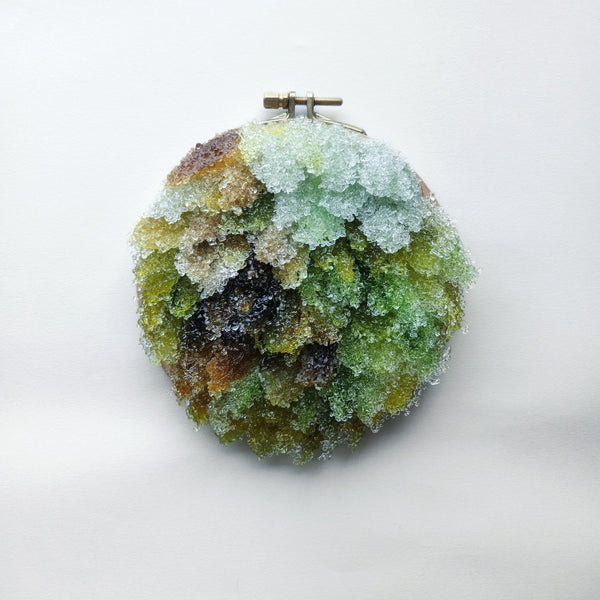 The Way Out is Through: Five Mile Loop,Ōrongorongo | Kelda Morris
