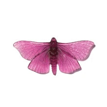 Pūriri Moth | Luke Jacomb Studio