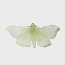 Pūriri Moth | Luke Jacomb Studio