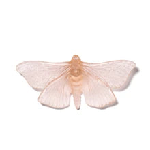 Pūriri Moth | Luke Jacomb Studio
