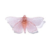 Pūriri Moth | Luke Jacomb Studio