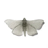 Pūriri Moth | Luke Jacomb Studio
