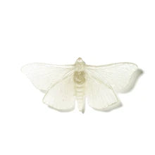 Pūriri Moth | Luke Jacomb Studio