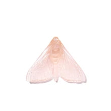 Pūriri Moth | Luke Jacomb Studio