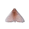 Pūriri Moth | Luke Jacomb Studio