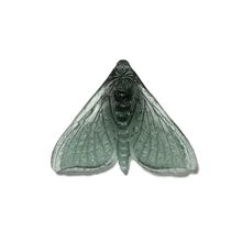 Pūriri Moth | Luke Jacomb Studio