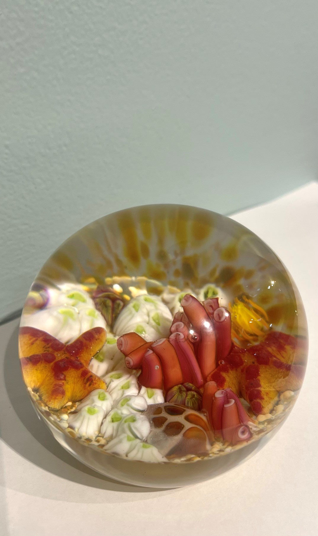 Coral Reef Paperweight
