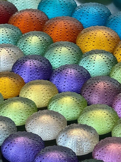 Cast Glass Sea Urchin | Rebecca Heap
